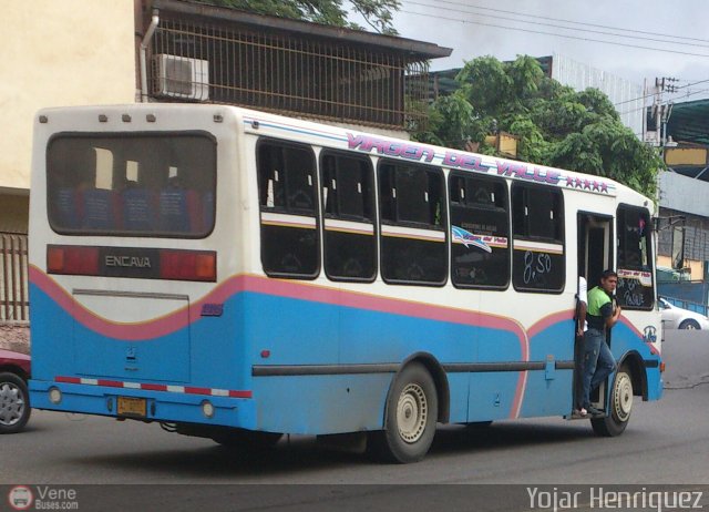 A.C. de Transporte La Raiza 116 por Yojar Alexis Henriquez Leon