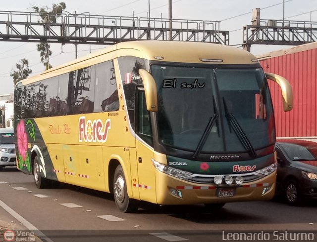 Transporte Flores Hermanos S.R.L 950 por Leonardo Saturno