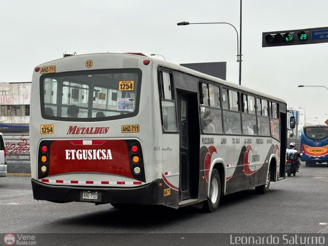 E.T. y Servicios Guadulfo Silva Carbajal 014 por Leonardo Saturno