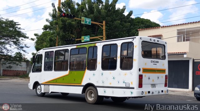 Particular o Desconocido 513 por Aly Baranauskas