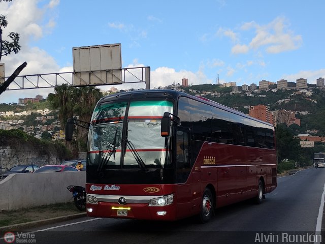 Los P�jaros de Lara 0290 por Alvin Rond�n