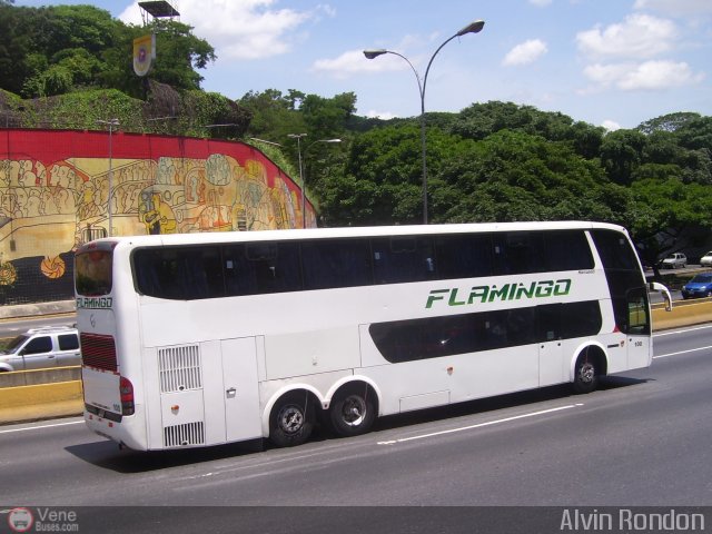 Expresos Flamingo 0100 por Alvin Rond�n