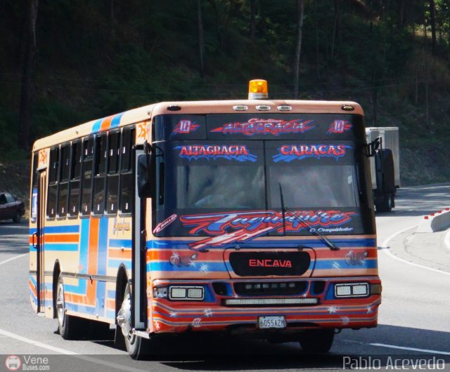 Colectivos Altagracia 10 por Pablo Acevedo