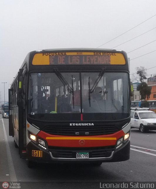 E.T. y Servicios Guadulfo Silva Carbajal 073 por Leonardo Saturno