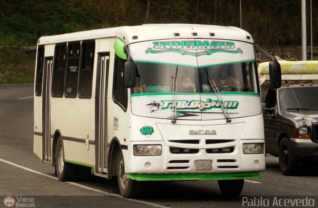 A.C. Indepasib 088 por Pablo Acevedo