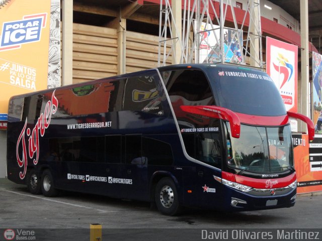 Tigres de Aragua B.B.C. 01 por David Olivares Martinez