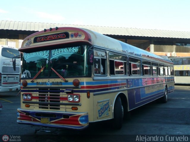 Transporte Unido 026 por Alejandro Curvelo