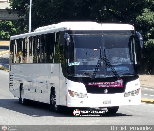 Expresos Pegamar 1011 por Daniel Fern�ndez