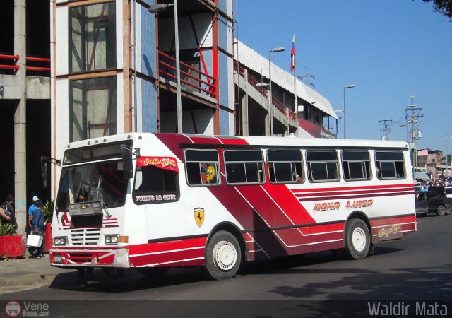 AN - Transcar 05 02 por Waldir Mata