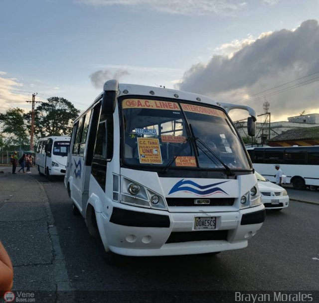 TA - A.C. L�nea Intercomunal 36 por Jerson Nova