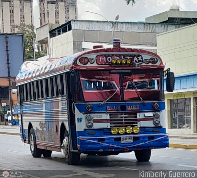 Transporte Palo Negro La Morita 2 097 por Kimberly Guerrero