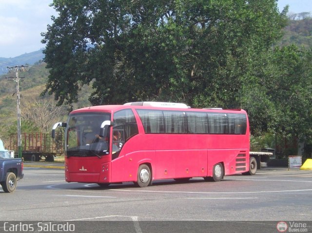 Sistema Integral de Transporte Superficial S.A  por Carlos Salcedo