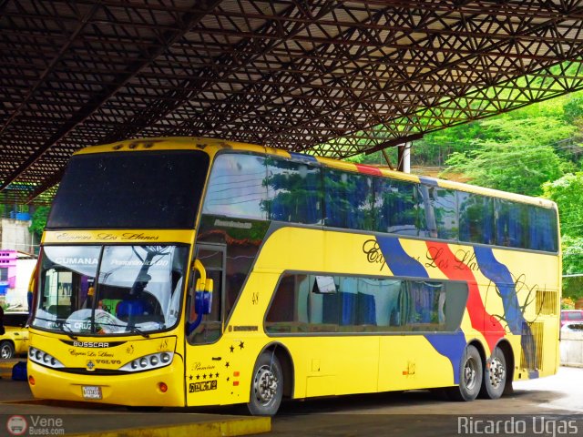 Expresos Los Llanos 048 por Ricardo Ugas