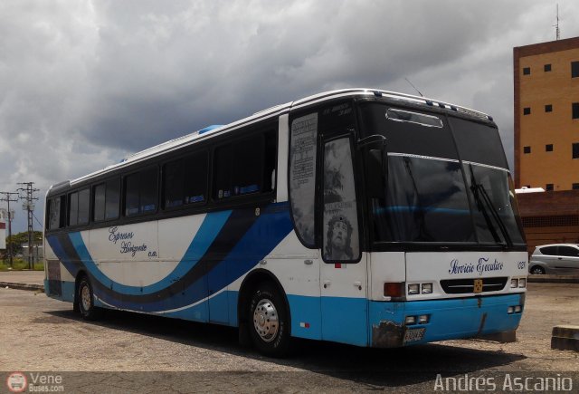 Expresos Horizonte 21 por Andrs Ascanio