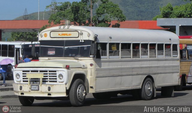 CA - Asociaci�n Coop. El Trigal R.L. 21 por Andr�s Ascanio