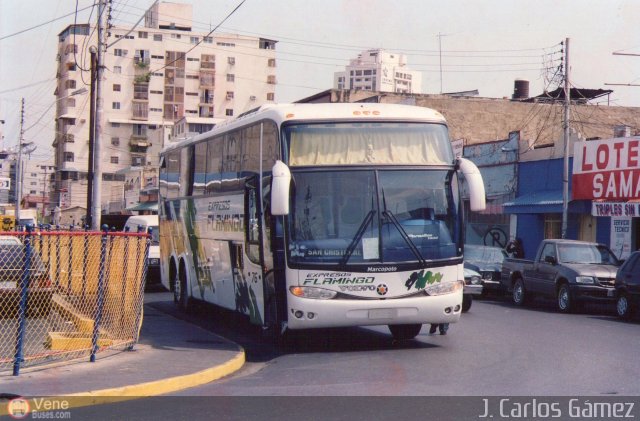 Expresos Flamingo 76 por Jhonangel Montes