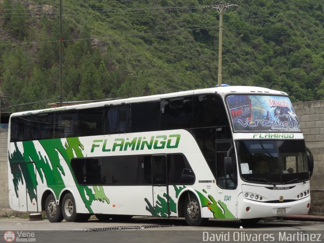 Expresos Flamingo 0341 por David Olivares Martinez