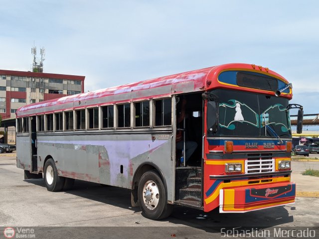 Colectivos Perij 999 por Sebastin Mercado