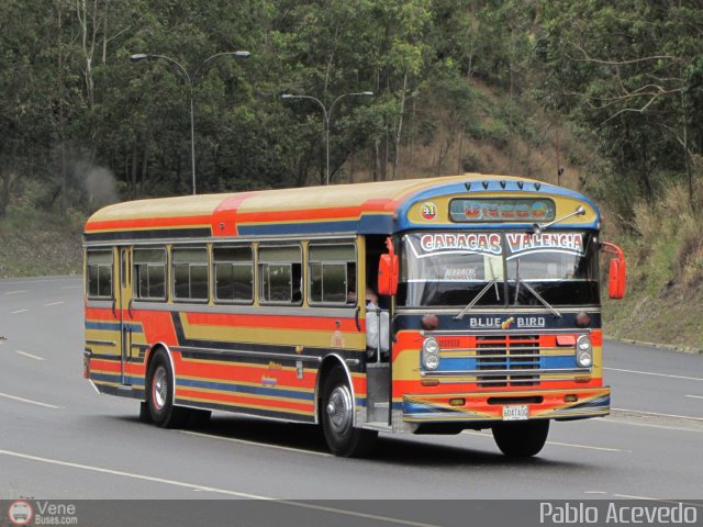 Transporte Unido 041 por Pablo Acevedo