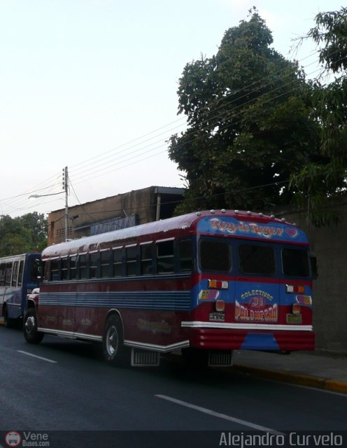 Transporte Colectivo Palo Negro 31 por Alejandro Curvelo