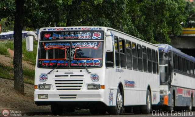 Expresos Pegamar 0006 por Oliver Castillo