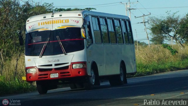 A.C. de Transporte Sol de Tamanaco 45 por Pablo Acevedo