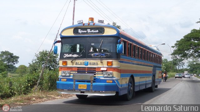 Expresos Continente C-29 por Leonardo Saturno