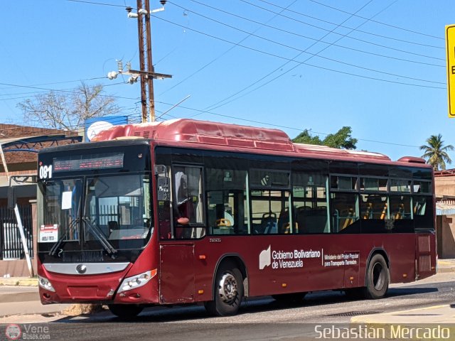 Bus MetroMara 081 por Sebastin Mercado