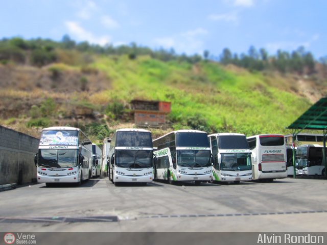 Garajes Paradas y Terminales Caracas por Alvin Rondn