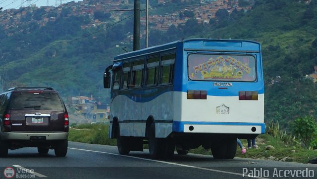 DC - Tigres de Plan de Manzano 015 por Pablo Acevedo
