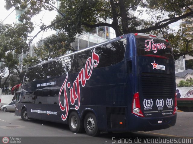 Tigres de Aragua B.B.C. 01 por Waldir Mata