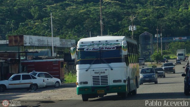 Lnea El Pial A.C. 40 por Pablo Acevedo