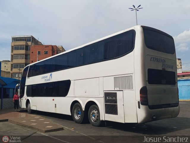 Expresos Pegamar 2025 por Josue S�nchez