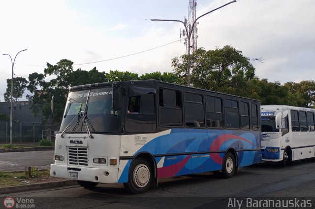 Transporte Virgen del Carmen 65 por Aly Baranauskas