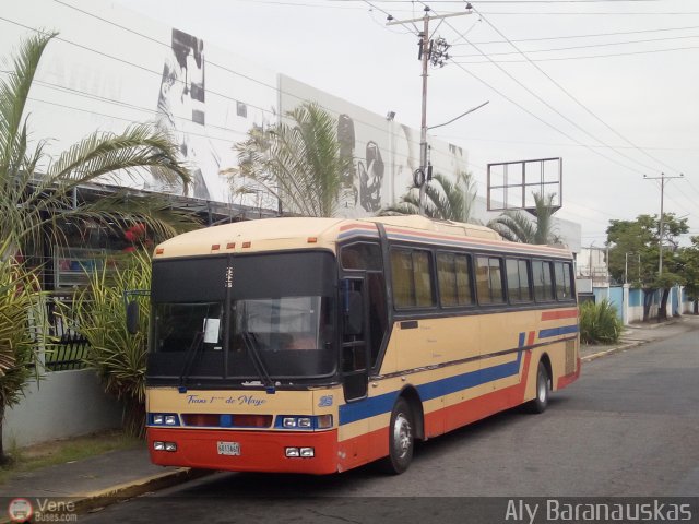 Transporte 1ero de Mayo 025 por Aly Baranauskas