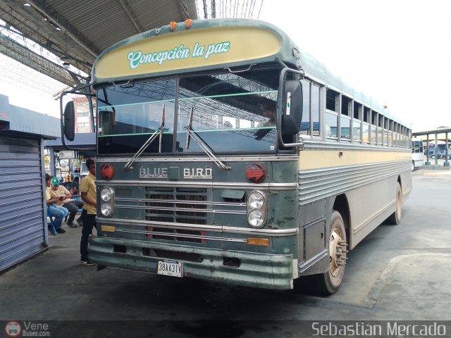 ZU - Colectivos Concepci�n 104 por Sebasti�n Mercado