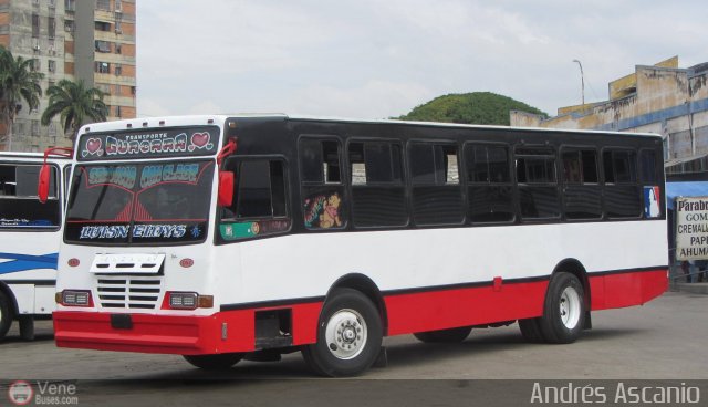 Transporte Guacara 0161 por Andrs Ascanio