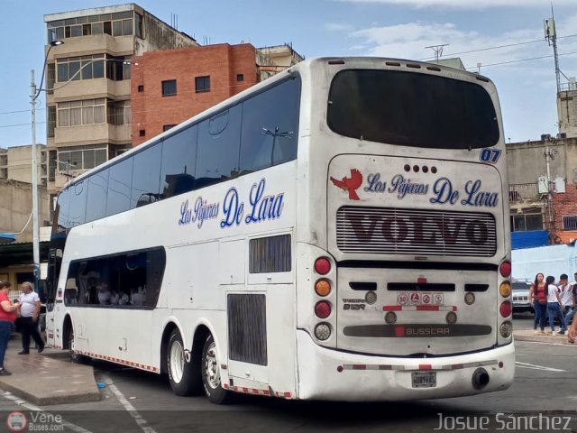 Los Pjaros de Lara 007 por Josue Snchez