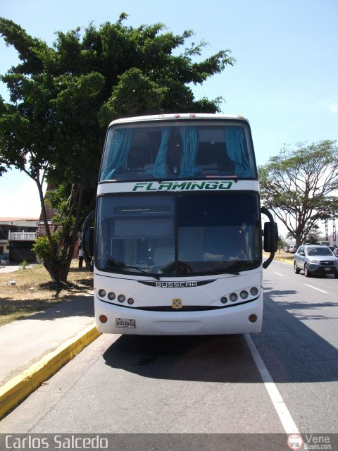 Expresos Flamingo 0107 por Carlos Salcedo