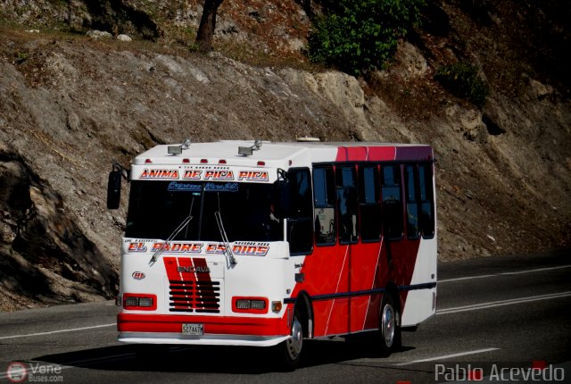 S.C. Expresos Mara 081 por Pablo Acevedo