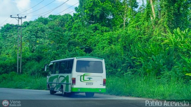 Particular o Desconocido Miranda por Pablo Acevedo