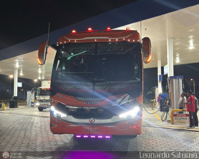 Tax Gacela 010 por Leonardo Saturno