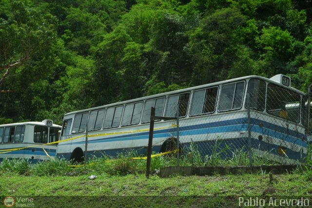 En Chiveras Abandonados Recuperacin  por Pablo Acevedo