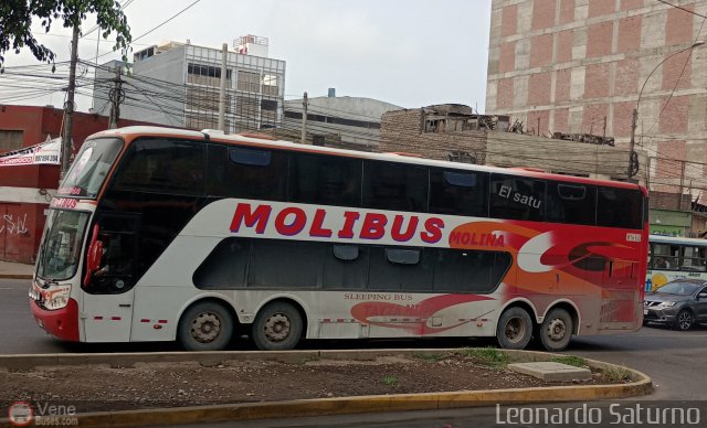 Transportes y Servicios Molibus 955 por Leonardo Saturno