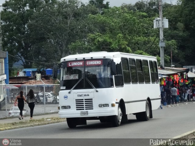 Lnea Unin Cordero 100 por Pablo Acevedo