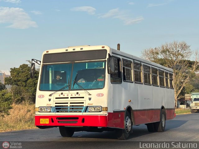 Particular o Desconocido 43 por Leonardo Saturno