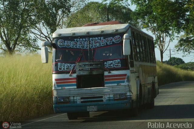 Transporte Guanarito 06 por Pablo Acevedo