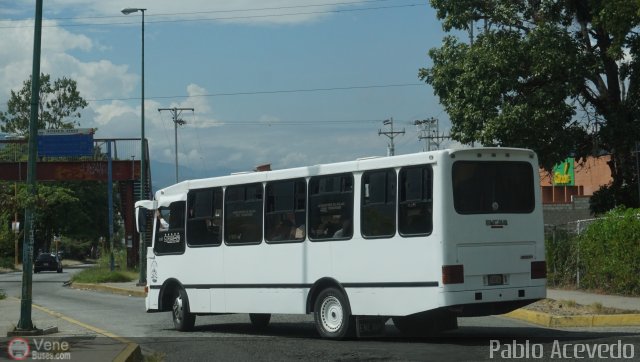 Lnea Los Andes S.C. 95 por Pablo Acevedo