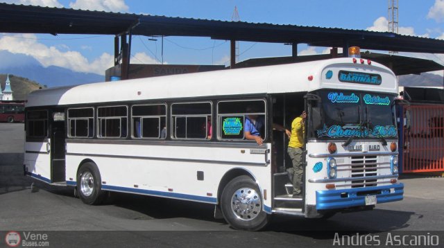 Autobuses de Barinas 008 por Andr�s Ascanio