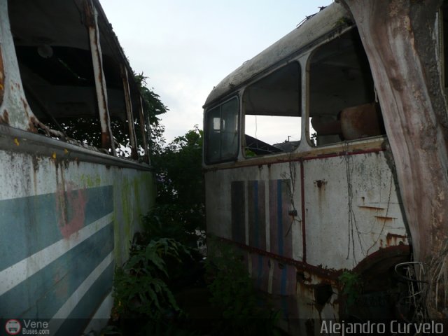 Instituto Municipal de Transporte Colectivo 0174 por Alejandro Curvelo